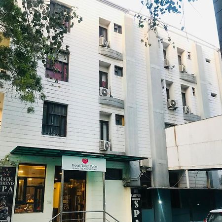 Hotel Tulip Palm Dźajpur Zewnętrze zdjęcie